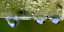 2 -gouttes d'eau