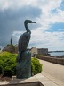 Le grand cormoran de Concarneau