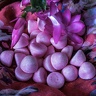 Rose bonbon